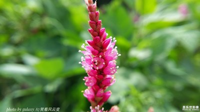 【自然之美】+光影自然