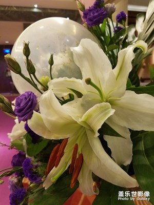 【自然之美】+花兒