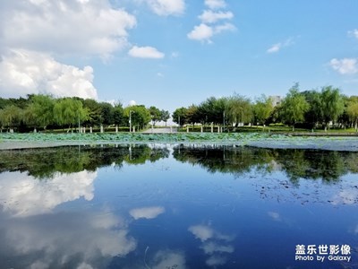 鄞州區(qū)院士公園午后風(fēng)景