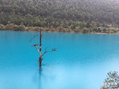 最美瞬間。。。。。。。