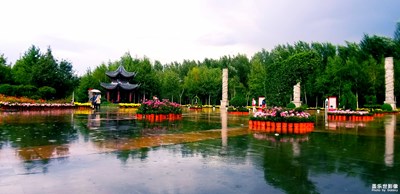 【自然之美】+百亭園賞菊