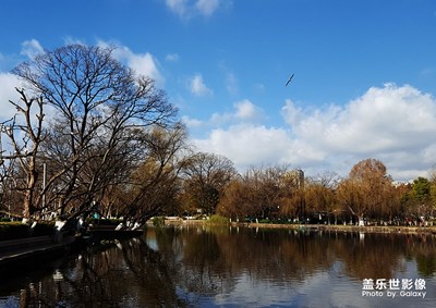 [自然之美]+翠湖風光