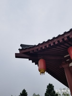 路過大唐芙蓉園