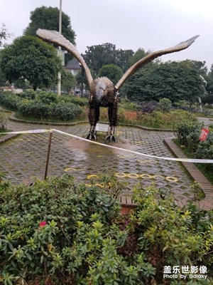橘子洲頭