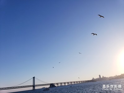 s9+大連星海大橋之行