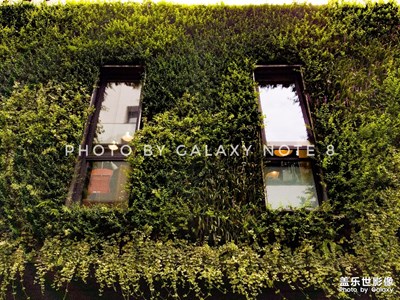 在上海地區(qū)拍的幾張照片