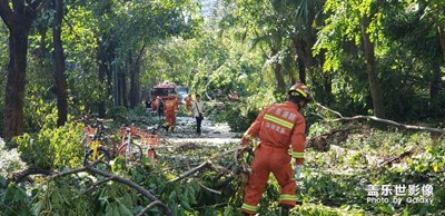 臺(tái)風(fēng)后的消防兵