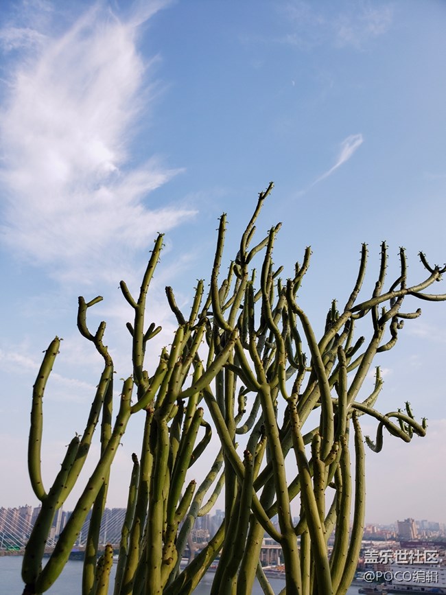 Galaxy Note9雙攝鏡頭下的三色廣州 Galaxy Note9雙攝鏡頭下的三色廣州