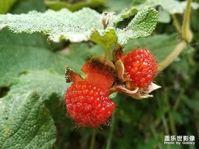 家鄉(xiāng)隨拍