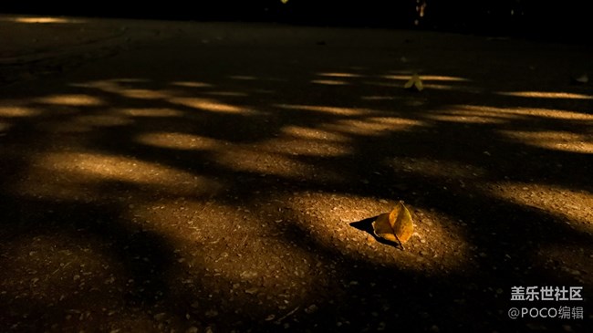 Galaxy Note9雙攝鏡頭下的三色廣州 Galaxy Note9雙攝鏡頭下的三色廣州