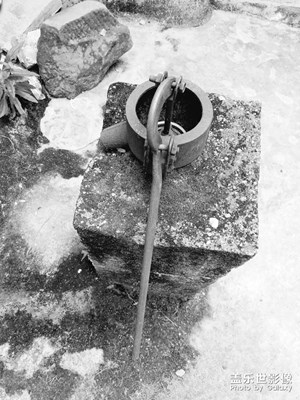 【熱愛生活】+青山綠氺