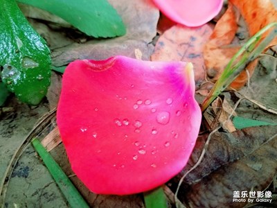 往事如煙，淺笑而安