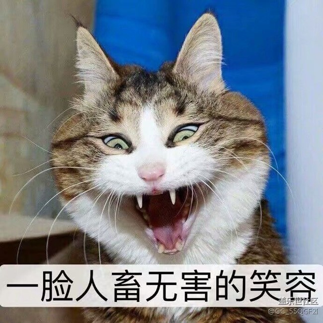 s8凝時(shí)拍照在哪呢？