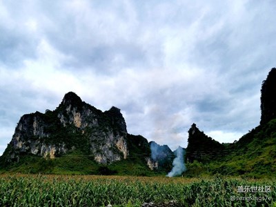 原來使用自動優(yōu)化還不錯