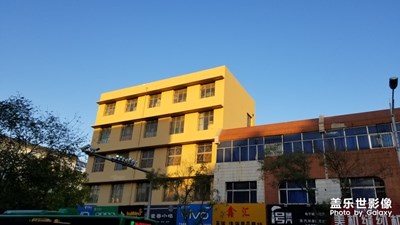 銀川  寧夏綠沙漠金