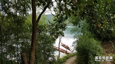 偷得浮生半日閑