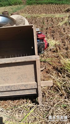 這個你們見過沒有