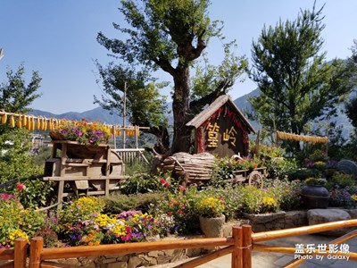 婺源 處處是風(fēng)景