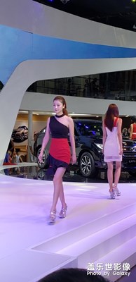 車(chē)展看美女的?。。。?！