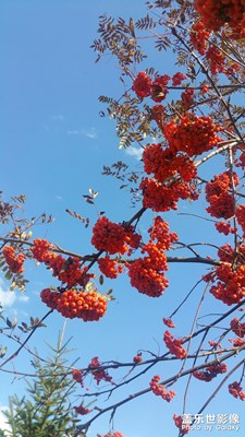 國慶節(jié)+4
