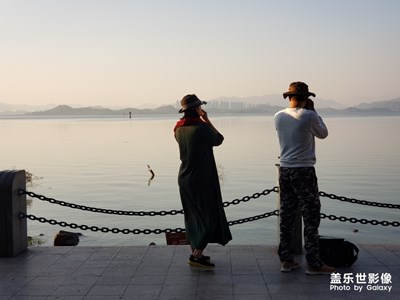 晨-深圳灣