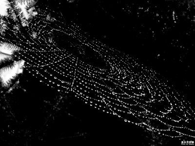 超級網(wǎng)絡(luò)