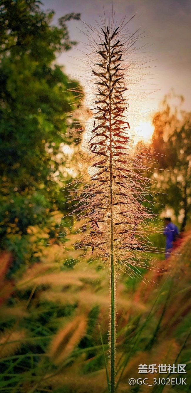 隨拍、不知道怎樣