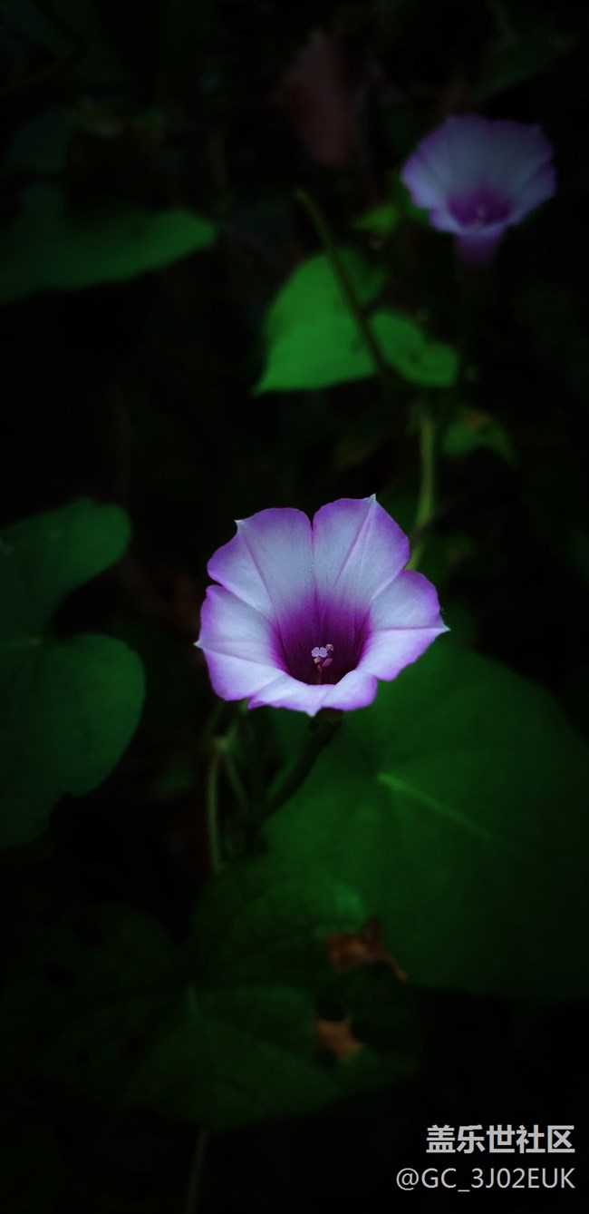 隨拍、不知道怎樣