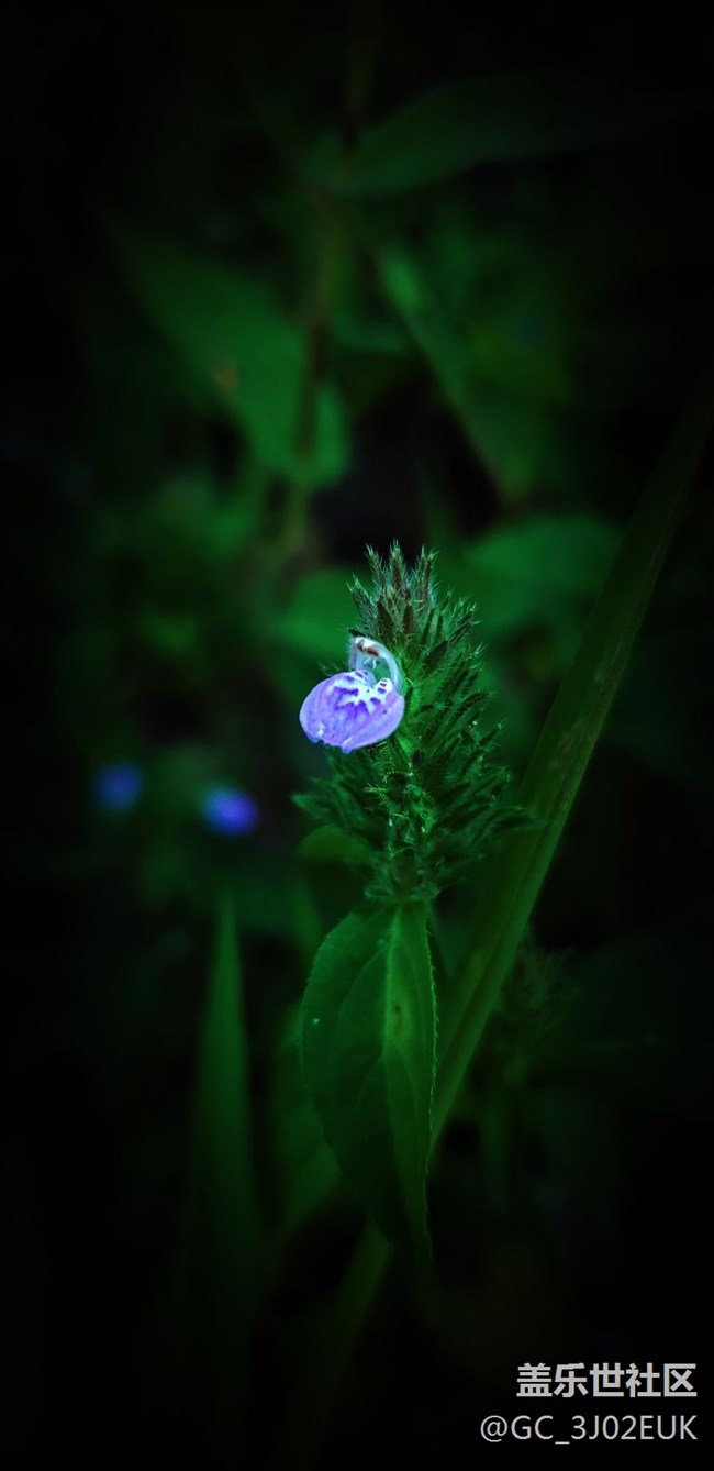 隨拍、不知道怎樣