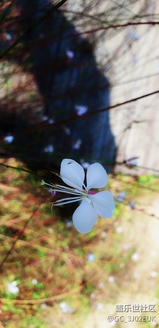 隨拍、不知道怎樣