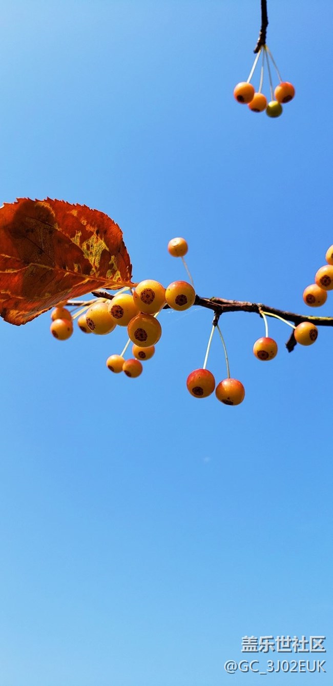 隨拍、不知道怎樣