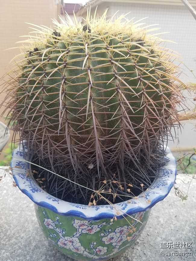 光線好的話還是可以拍出清晰的照片的