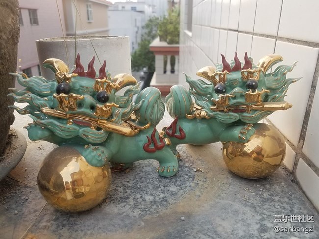 光線好的話還是可以拍出清晰的照片的