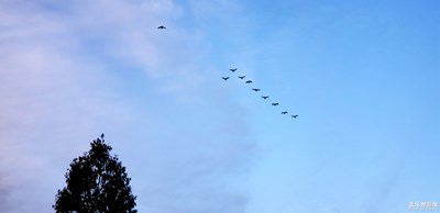 【相機(jī)里國(guó)慶】+國(guó)慶隨拍