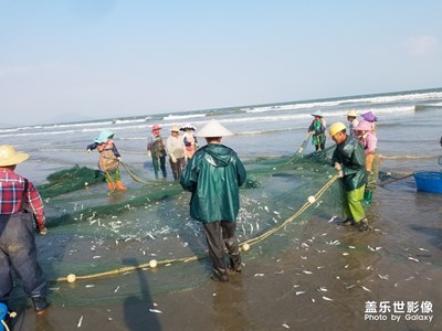 海豐捕魚現(xiàn)場