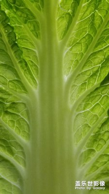 【相機(jī)里的國(guó)慶】+五彩斑斕的國(guó)慶