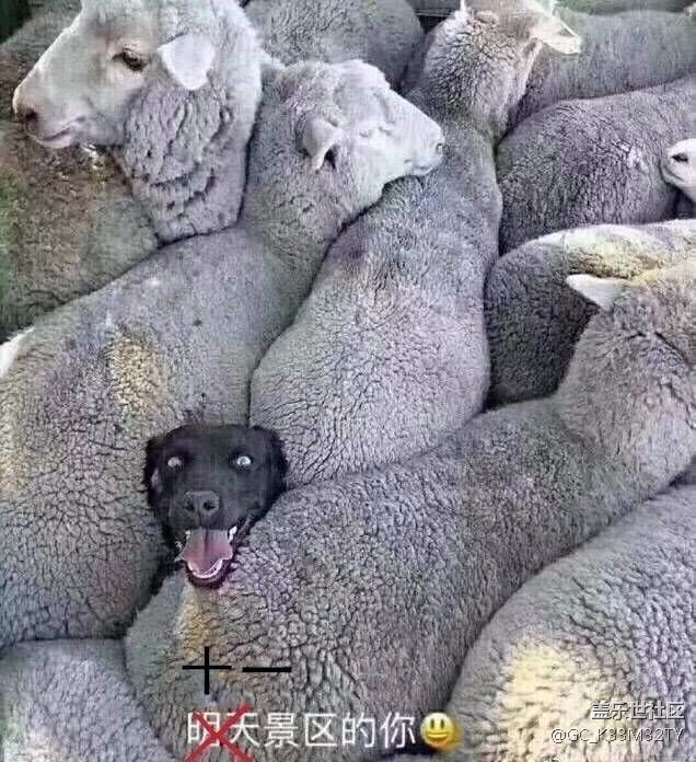 老哥們都有什么軟件