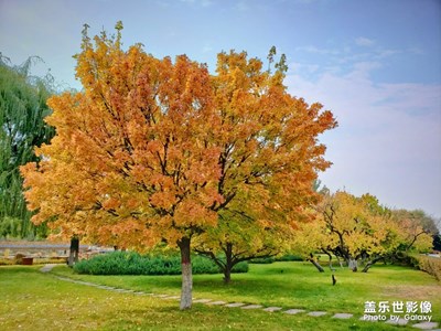 東河點(diǎn)畫(huà)