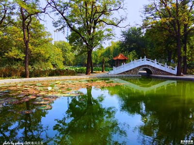 【都市印象】+鳳城麗影
