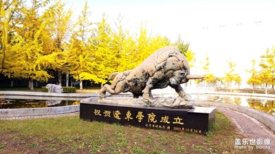 遼東學(xué)院里的銀杏樹