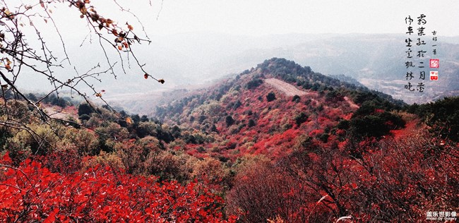 【每周精帖匯119】秋意正濃 是時(shí)候表演真正的技術(shù)了