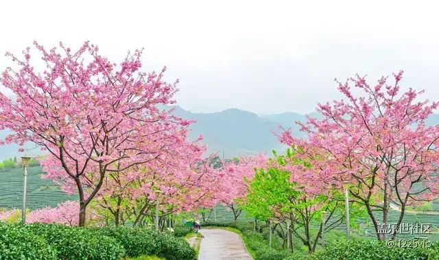 能不能來個穩(wěn)定版