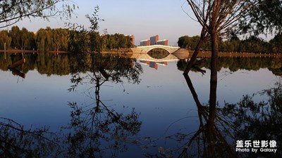 辦公樓下面的小湖