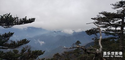 神農架