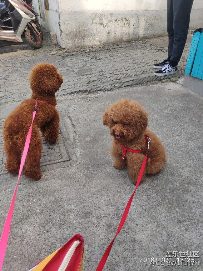 S9+還有note9和MATE20號(hào)糾結(jié)