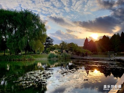 秋游辰山，靜安公園