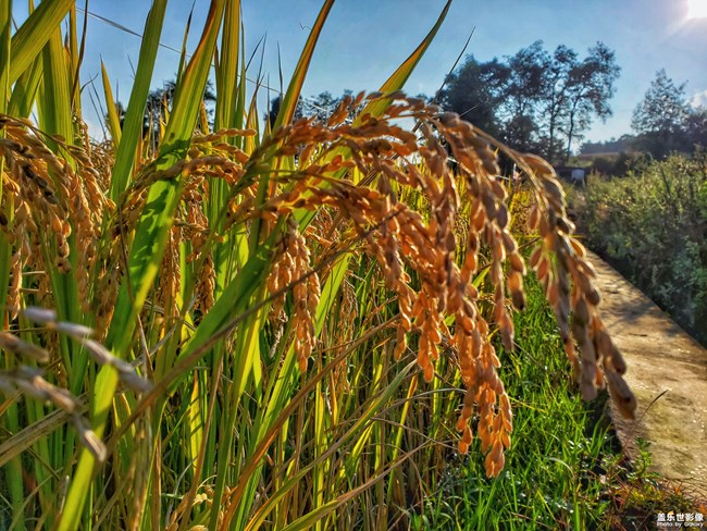 【120期：全新Galaxy A系列產(chǎn)品正式發(fā)布 嗨爆西安】