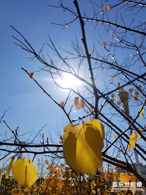 秋天隨手拍，自我感覺良好??