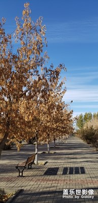 【秋至】+秋天的腳步