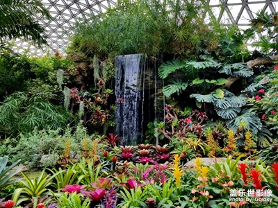 【秋至】+秋日辰山植物園花草篇